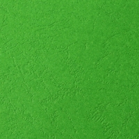 Обложки для переплета A4, 230 г/м2, 100 листов, картонные, зеленые, тиснение под Кожу, Гелеос