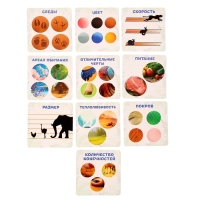 Развивающая игра «Отгадай кто?» Развивающая игра «Отгадай кто?»