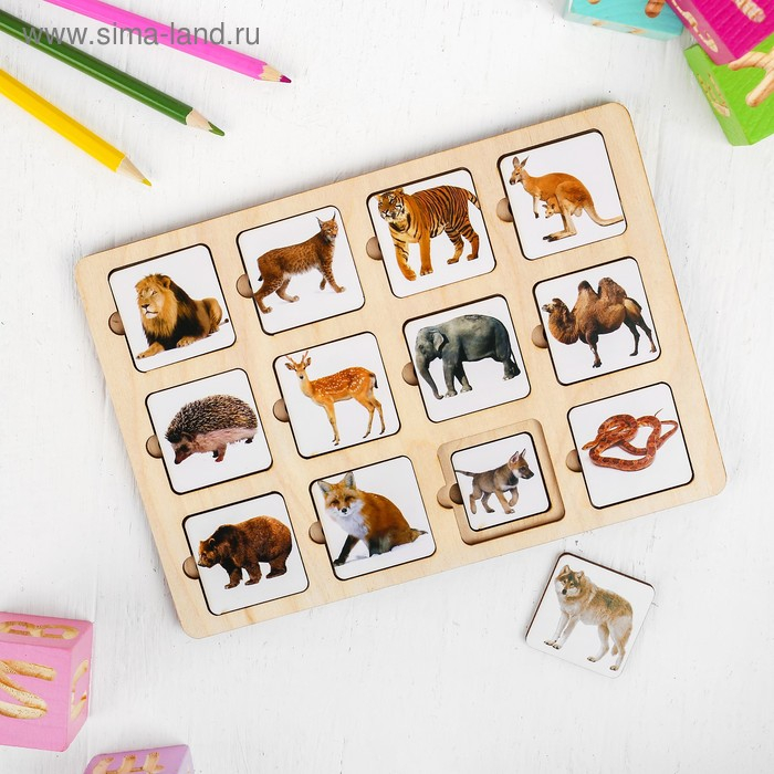 Секретики &laquo;Зоопарк&raquo;