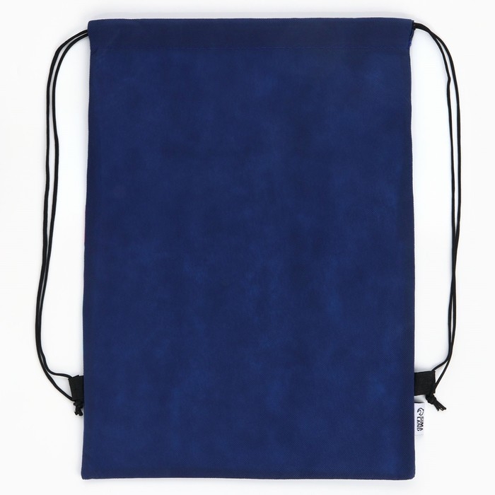 Мешок для обуви &laquo;1 сентября: Racing&raquo; нетканное полотно, размер 30 х 40 см