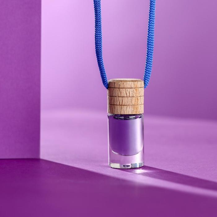 Ароматизатор Tensy Сирень, бутылочка, 6 мл, ТВ-13 Ароматизатор Tensy Сирень, бутылочка, 6 мл, ТВ-13