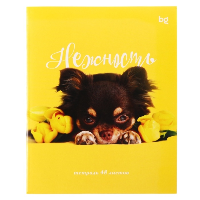 Тетрадь 48 листов в клетку Тетрадь 48 листов в клетку "Девочки", обложка мелованный картон, ВД-лак, белизна 90, блок 60г/м2, МИКС