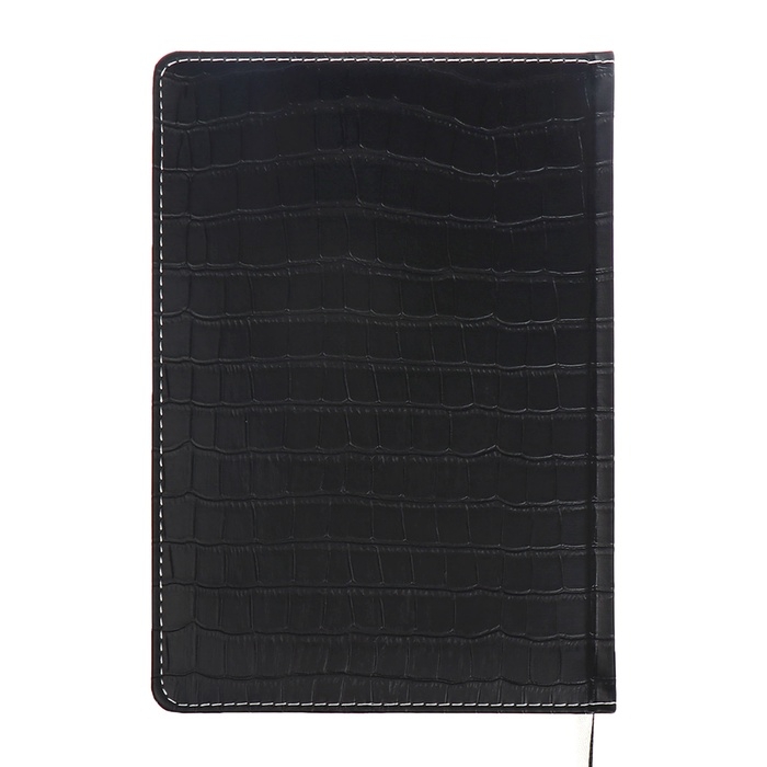 Ежедневник датированный 2024 A5 176 листов, deVENTE.Wild, твёрдая обложка из искусственной кожи, золотой срез, ляссе, кремовый блок 70 г/м2, чёрный