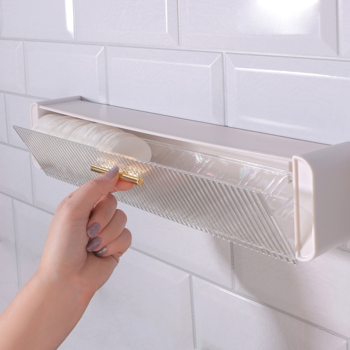 Органайзер для хранения, навесной, 1 секция, с клеевой основой и крючками, 38,7 &times; 8,5 &times; 6,5 см, цвет полупрозрачный/белый