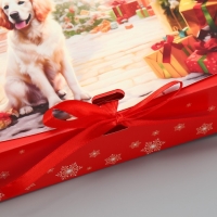 Коробка подарочная новогодняя складная двухсторонняя &laquo;Зима подарит чудеса&raquo;, 20 х 18 х 5 см, Новый год