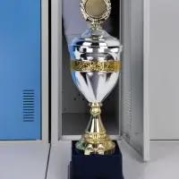 Кубок EnterPrize, серебристый