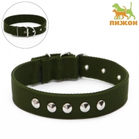 Ошейник клепаный, 48,5 х 3 см, ОШ 31-40 см, полиэстер, тёмно-зелёный Ошейник клепаный, 48,5 х 3 см, ОШ 31-40 см, полиэстер, тёмно-зелёный