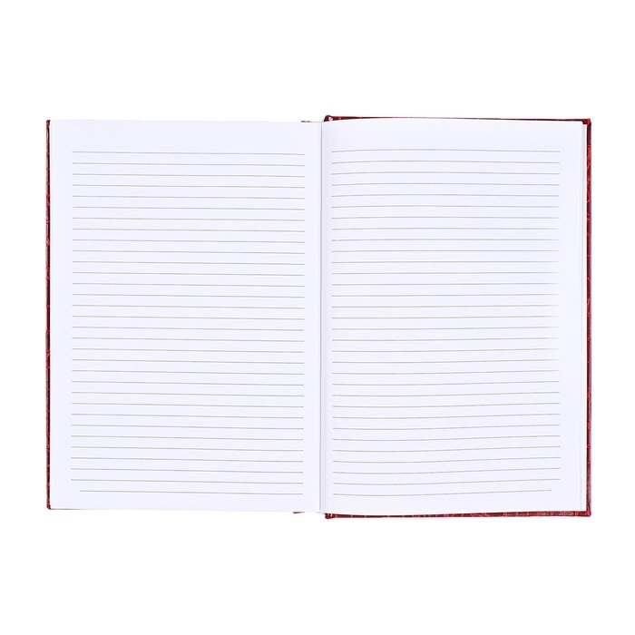 Ежедневник датированный 2025 года, deVENTE. Flag, Attomex. Arkona, твердая обложка бумвинил с поролоном, ляссе, блок 70 г/м2, красный