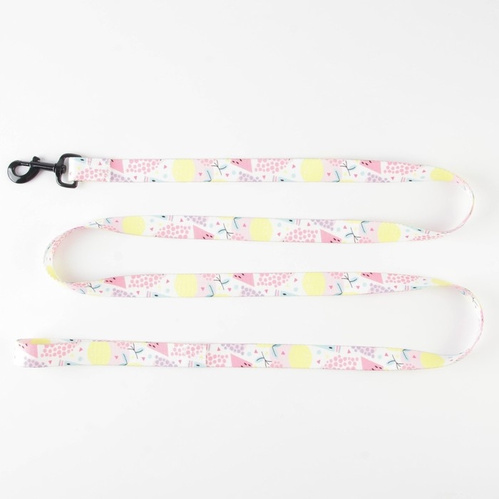 Поводок &laquo;Сочное настроение&raquo;, 2.5 см, 2 м