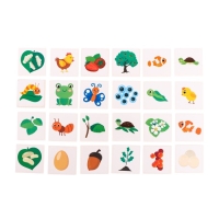 Развивающий набор &laquo;Эволюция&raquo;, животные, растения, насекомые
