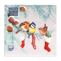 Новогодние салфетки бумажные Home Collection Сlassic «Птички на ветке», 3 слоя, 33х33 см, 20 шт Новогодние салфетки бумажные Home Collection Сlassic «Птички на ветке», 3 слоя, 33х33 см, 20 шт