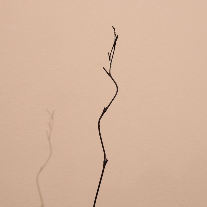 Интерьерный декор из бамбука, листья пластик 200 см зелёный