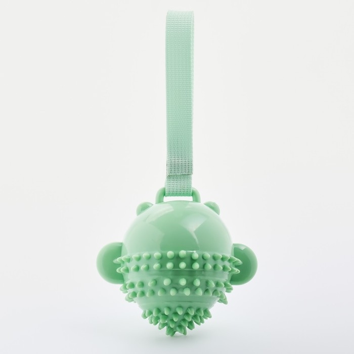 Игрушка массажная для собак Игрушка массажная для собак "Монстр" 12 см, ТПР, микс цветов