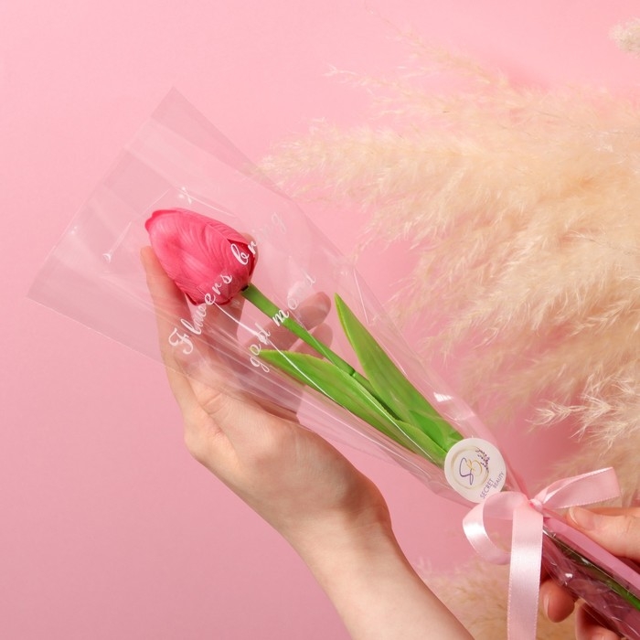 Мыльный тюльпан, фуксия Мыльный тюльпан, фуксия