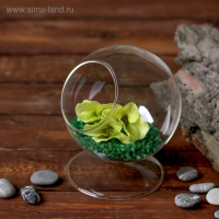 Флорариум "Натурель" сфера, 14х11 см, d=7,7см