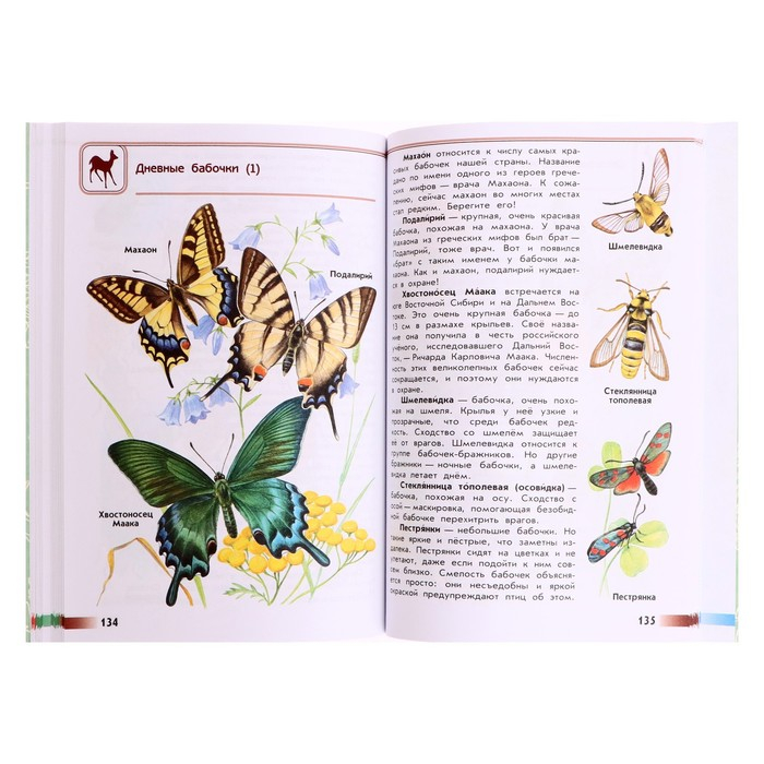 Учебное пособие. ФГОС. Атлас-определитель. От земли до неба, новое оформление. Плешаков А. А. Учебное пособие. ФГОС. Атлас-определитель. От земли до неба, новое оформление. Плешаков А. А.