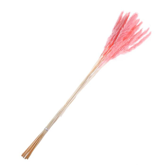 Сухоцвет &laquo;Камыш&raquo; набор 15 шт, цвет нежно розовый