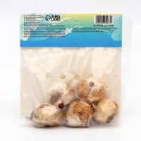 Аллиум лук декоративный Каратавский, р-р 12/14, 5 шт, Осень 2024 Аллиум лук декоративный Каратавский, р-р 12/14, 5 шт, Осень 2024