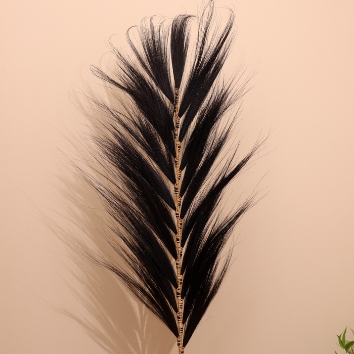Сухоцвет на бамбуковом стебле 250 см тёмный