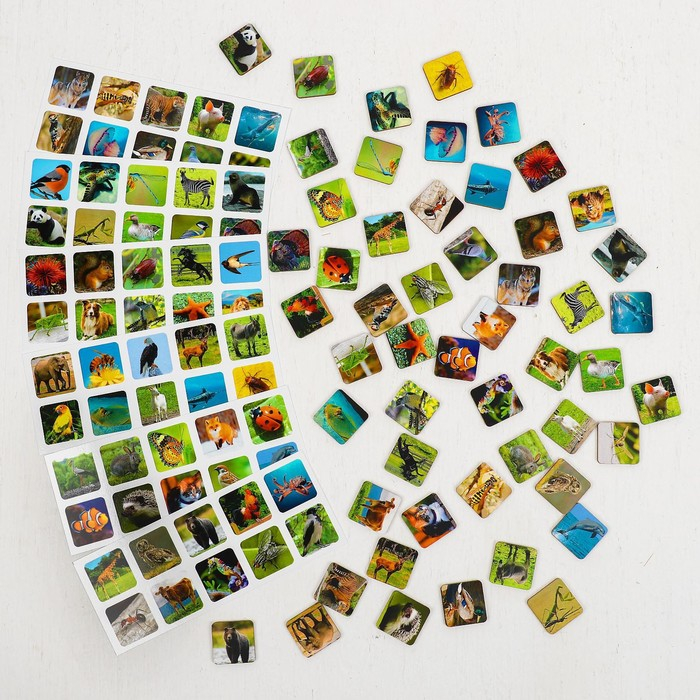 Сортер &laquo;Животный мир&raquo;