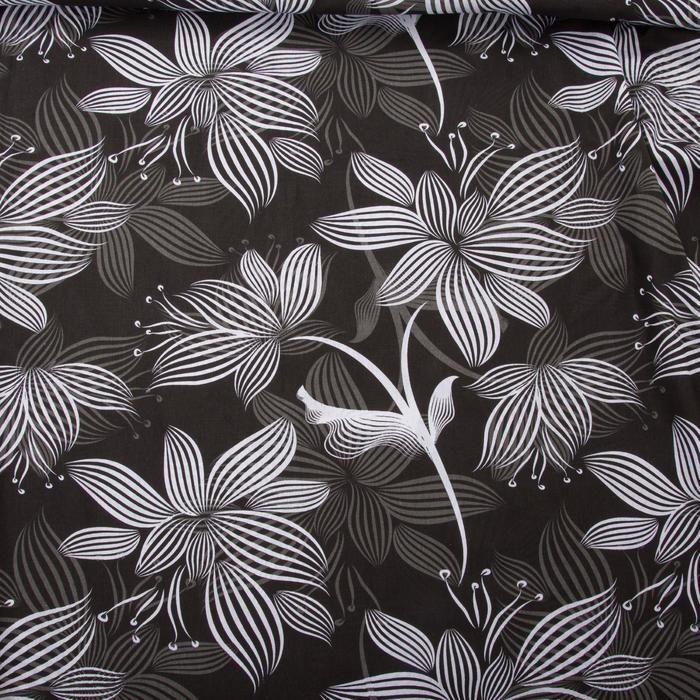 Постельное бельё Этель Евро &laquo;Сумерки&raquo; 200х217 см, 220х240 см, 70х70 см-2 шт, 100% хлопок, бязь