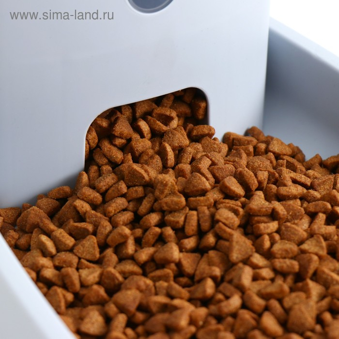 Автокормушка со скошенной миской, нескользящие ножки 3 л, серая Автокормушка со скошенной миской, нескользящие ножки 3 л, серая