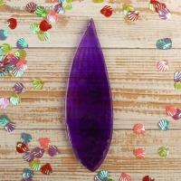 Молд пластик st-0001-2 "Лист лилии универсальный" 17х5,5 см МИКС Молд пластик st-0001-2 "Лист лилии универсальный" 17х5,5 см МИКС