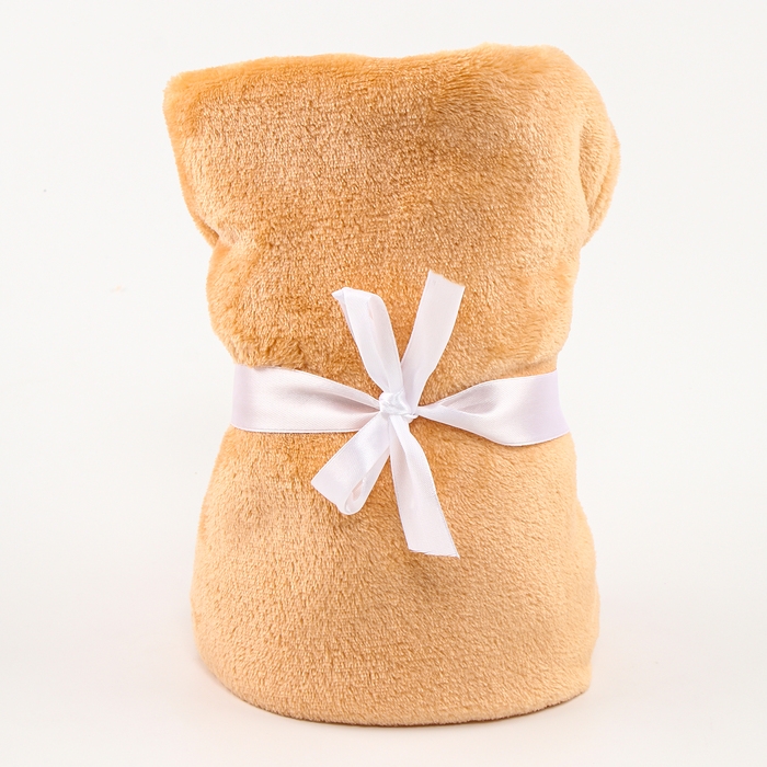 Набор подарочный: Комфортер 27 см + плед 71х125 см, &laquo;Жираф&raquo;