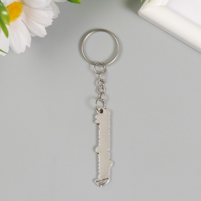 Брелок металл "Мотивация" 0,9х5 см