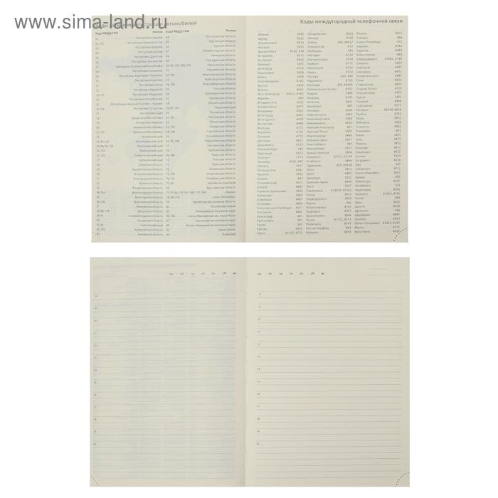 Ежедневник недатированный А5 160 листов, deVENTE. Wild, твердая обложка кожзам с поролоном, термо тиснение, перфорация, ляссе, кремовый блок 70 г/м2, темно-синий