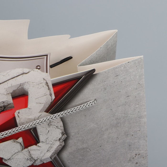 Пакет подарочный, упаковка, &laquo;Лучшему защитнику&raquo;, 25 х 26 х 10 см