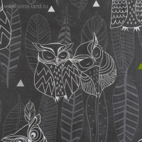 Постельное бельё "Этель" 1.5 сп Ушастые совы (вид 1) 143 х 215 см,150 х 214 см, 70 х 70 - 2 шт