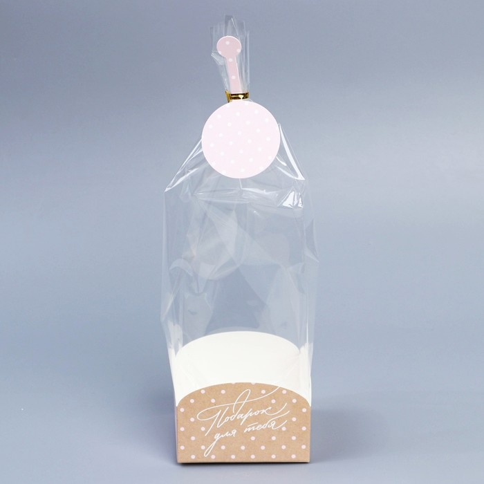 Пакет подарочный с коробкой, упаковка, &laquo;Подарок для тебя&raquo;, 9 х 9 х 35 см