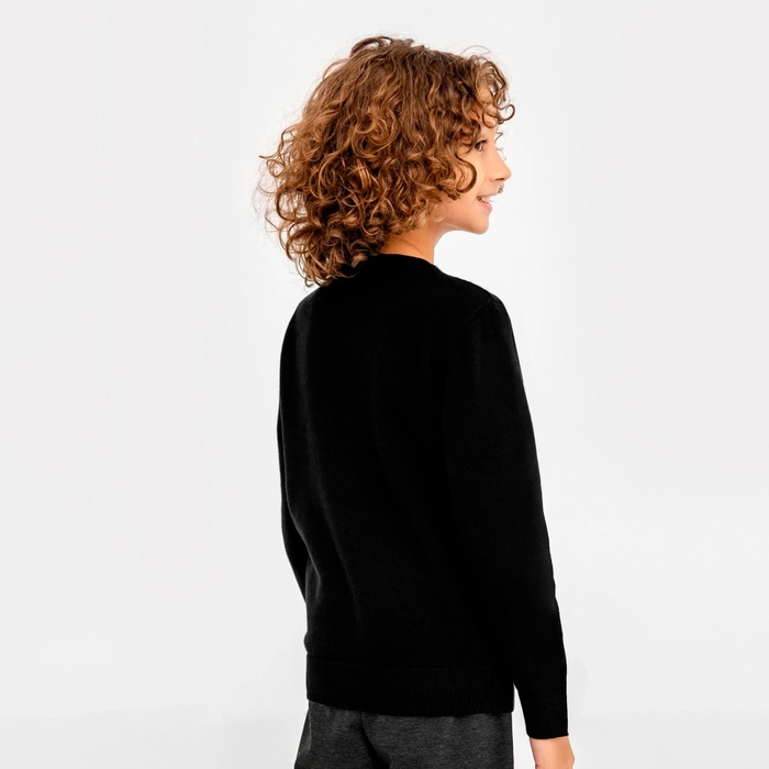 Джемпер для мальчика школьный, цвет чёрный, рост 134 см