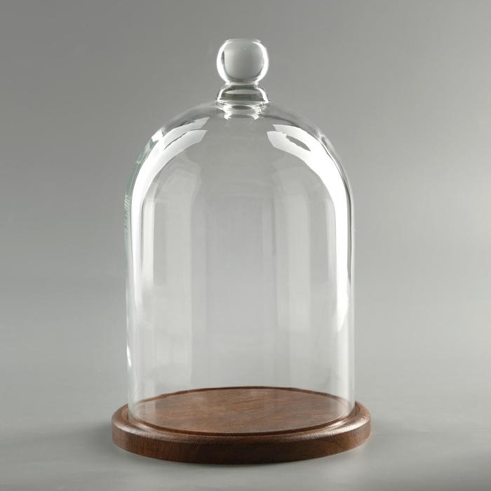 Стеклянный купол-клош с шариком на подставке Стеклянный купол-клош с шариком на подставке "Родрик", 24х15 см, стекло, коричневый