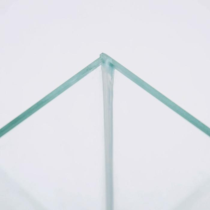 Отсадник двухсекционный 6 литров, 25 х 13 х 18,5 см 6 Отсадник двухсекционный 6 литров, 25 х 13 х 18,5 см 6