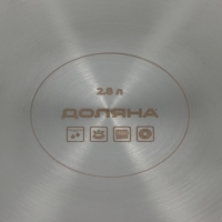 Кастрюля - сотейник Доляна &laquo;Грейт&raquo;, 2.8 л, d=24, капсульное дно, индукция