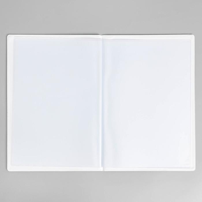 Папка для семейных документов «Docs», 8 файлов А4 Папка для семейных документов «Docs», 8 файлов А4