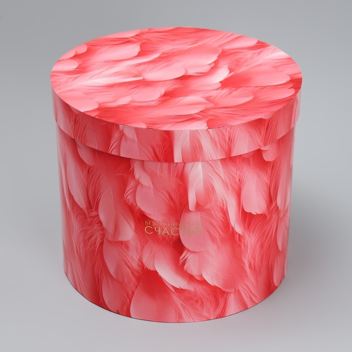 Набор шляпных коробок 5 в 1, упаковка подарочная, «Перья», 13 х 14 ‒ 19.5 х 22 см Набор шляпных коробок 5 в 1, упаковка подарочная, «Перья», 13 х 14 ‒ 19.5 х 22 см