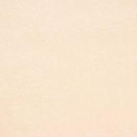 Пергамент флористический "Бежевый" 0,6 х 10 м, 52 г/м2