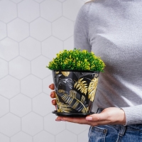 Горшок для цветов Доляна «Голди», 800 мл, цвет чёрный Горшок для цветов Доляна «Голди», 800 мл, цвет чёрный