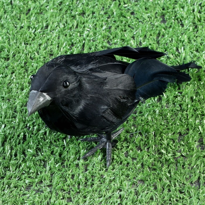 Фигура Фигура "Ворон" 20х6х10см