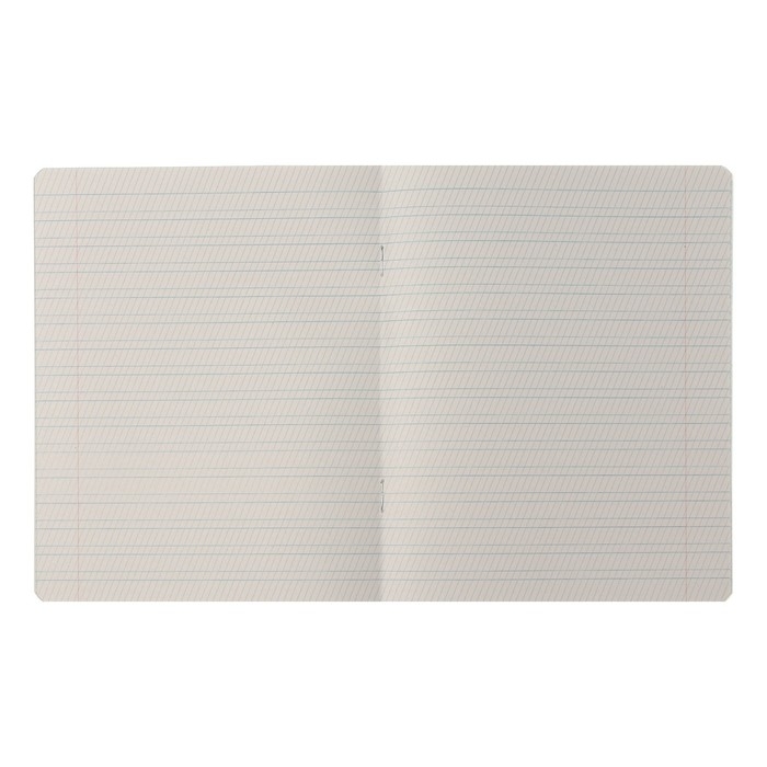 Комплект тетрадей из 10 штук, 12 листов в частую косую линию Calligrata Комплект тетрадей из 10 штук, 12 листов в частую косую линию Calligrata "Однотонная Новая Школьная. Эконом", обложка мелованная бумага, ВД-лак, блок №2, белизна 75% (серые листы), 5 видов по 2 штуки