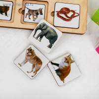 Секретики «Зоопарк» Секретики «Зоопарк»