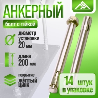 Анкерный болт ЛОМ, с гайкой, оцинкованный, 20х200 мм, 14 шт Анкерный болт ЛОМ, с гайкой, оцинкованный, 20х200 мм, 14 шт