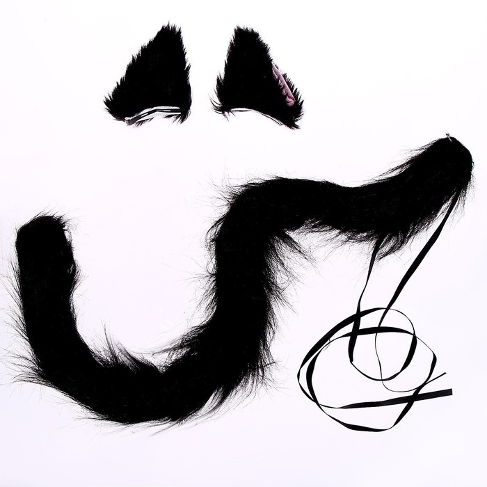 Карнавальный набор &laquo;Киса&raquo; аниме