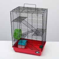Клетка для грызунов "Пижон" №5, с 3 этажами, укомплектованная, 41 х 30 х 58 см, рубиновая Клетка для грызунов "Пижон" №5, с 3 этажами, укомплектованная, 41 х 30 х 58 см, рубиновая