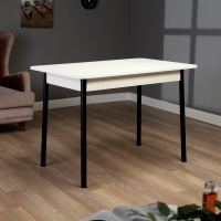 Стол кухонный Лион 1, 1100х700х750, Белый матовый