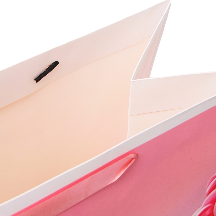 Пакет ламинированный  "Princess", XXL  46 х 61 х 20 см