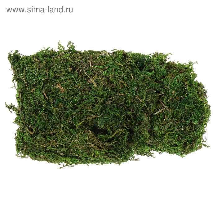 Мох для декора 50 гр зелёный Мох для декора 50 гр зелёный